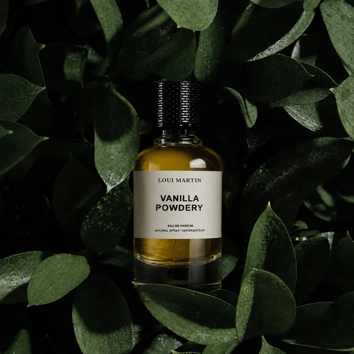Flacon de parfum Loui Martin Vanilla Powdery mis en scène au centre d’un feuillage vert foncé, dans une ambiance élégante et naturelle.
